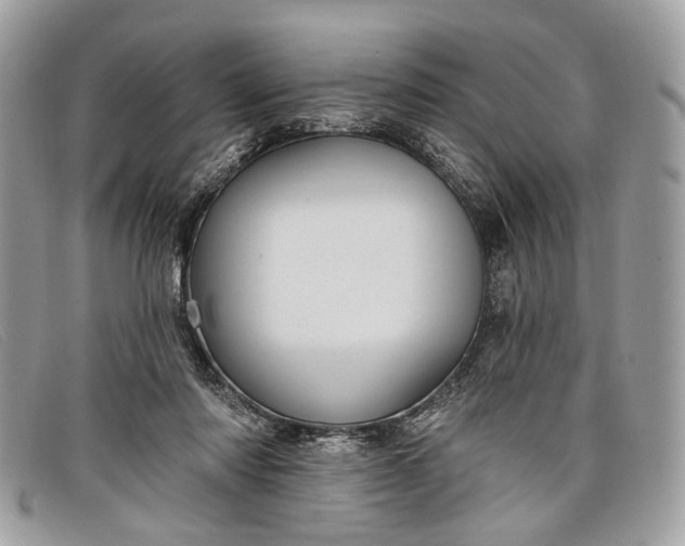 X0000098030310200804111328