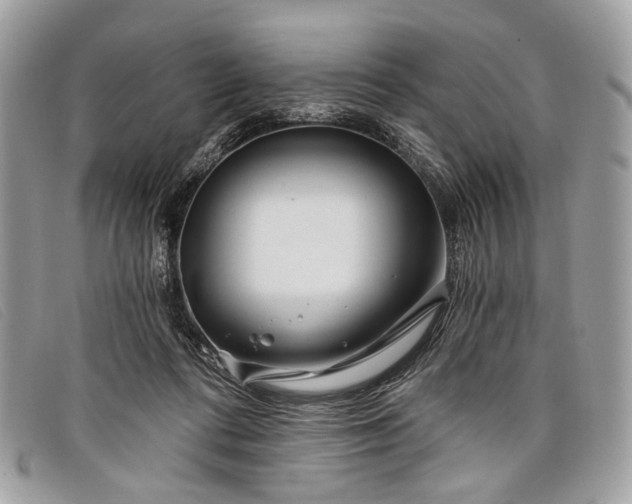 X0000098030312200804111328