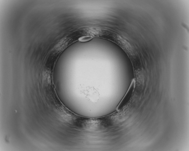 X0000098030313200804111328