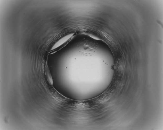 X0000098030315200804111328