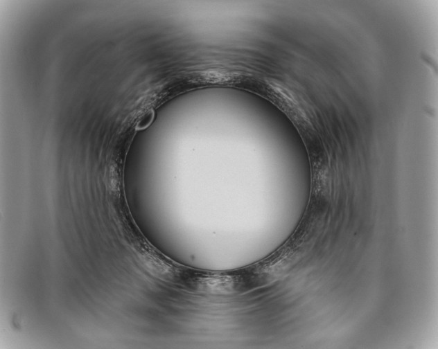 X0000098030317200804111328