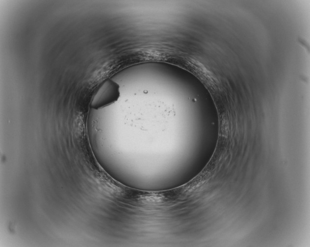 X0000098030318200804111328