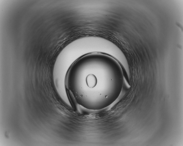 X0000098030320200804111328