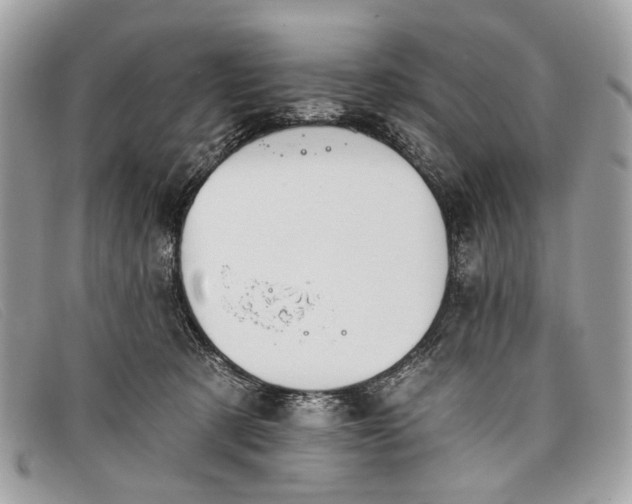 X0000098030321200804111328