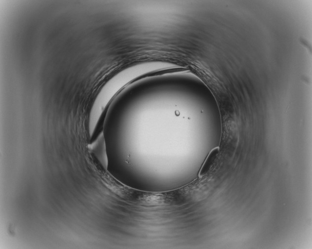 X0000098030325200804111328