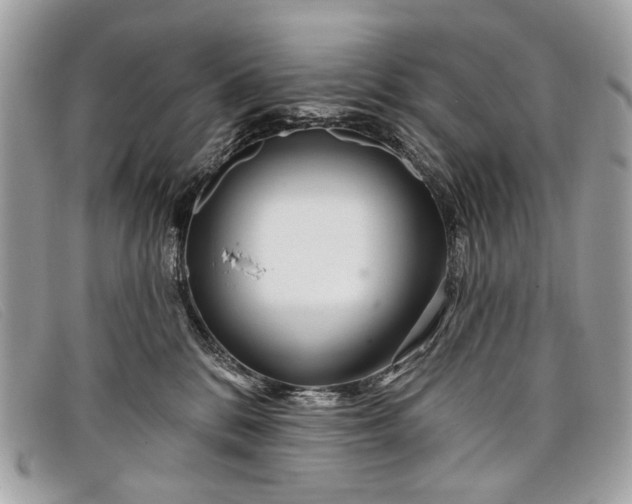 X0000098030328200804111328