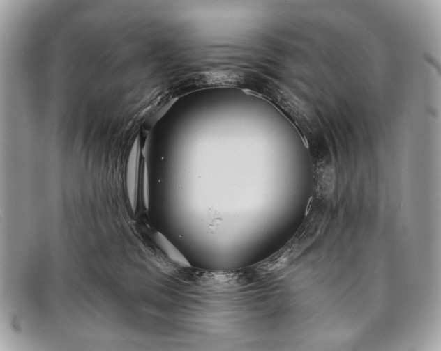 X0000098030329200804111328