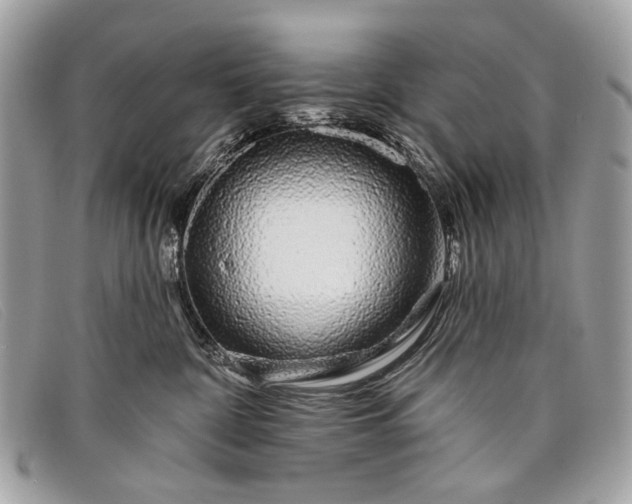 X0000098030332200804111328