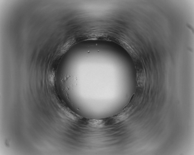 X0000098030334200804111328