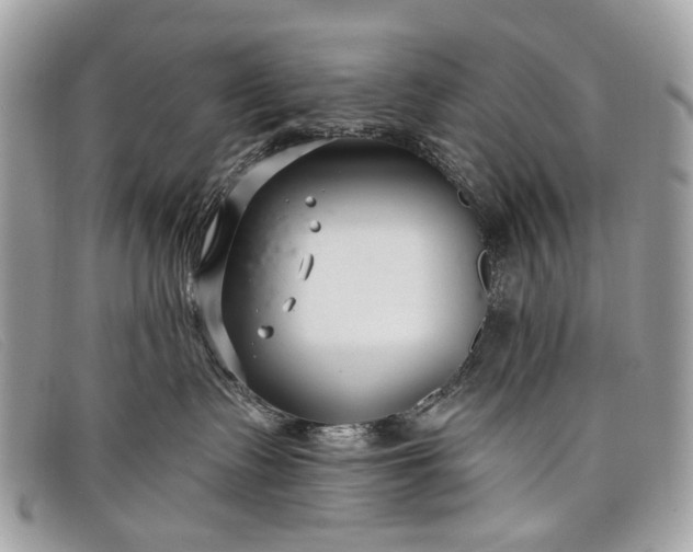 X0000098030335200804111328