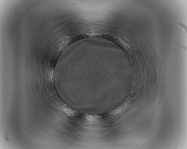 X0000098030336200804111328