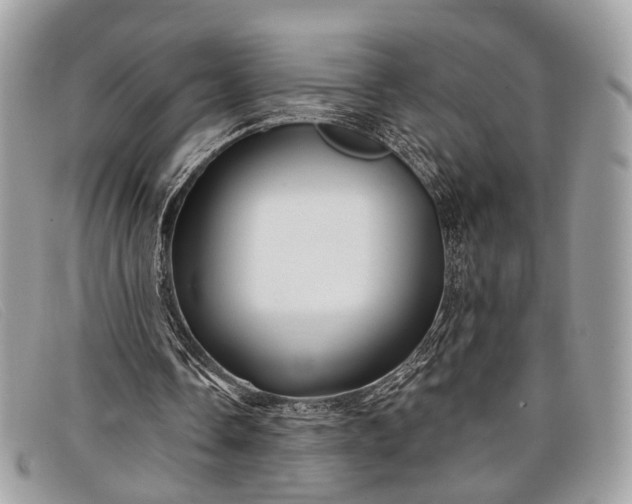 X0000098030338200804111327