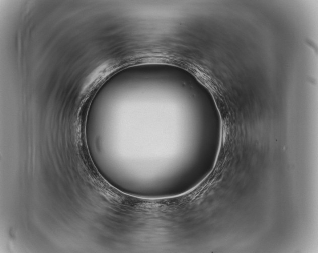 X0000098030339200804111327