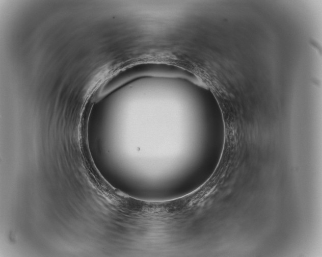 X0000098030340200804111327