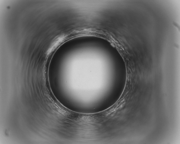 X0000098030341200804111327