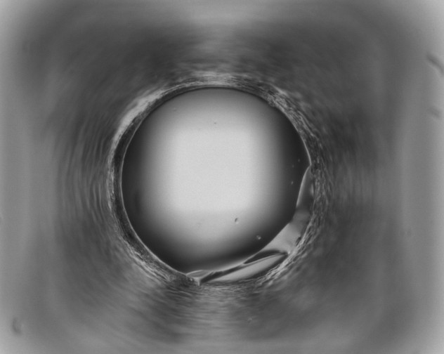 X0000098030342200804111327