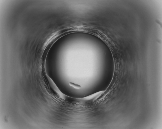 X0000098030344200804111327