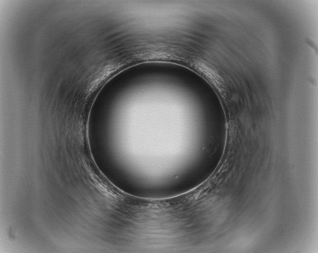 X0000098030345200804111327