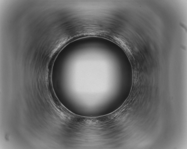 X0000098030346200804111327