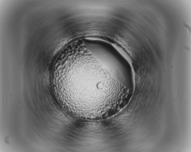 X0000098030347200804111327