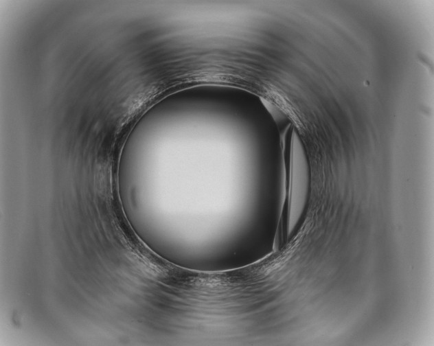 X0000098030349200804111327