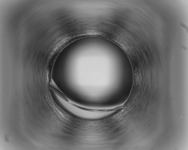 X0000098030350200804111327