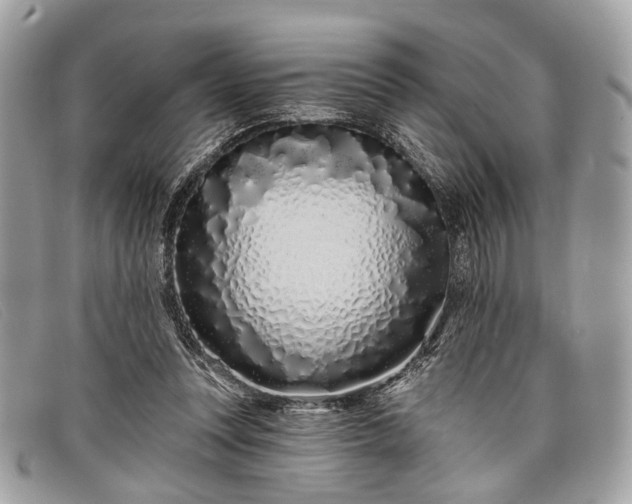 X0000098030351200804111327