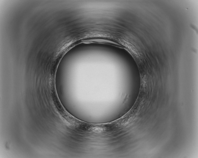 X0000098030352200804111327