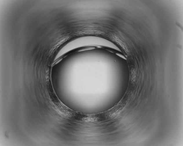 X0000098030356200804111327