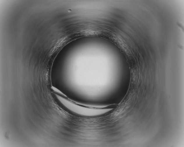 X0000098030357200804111327