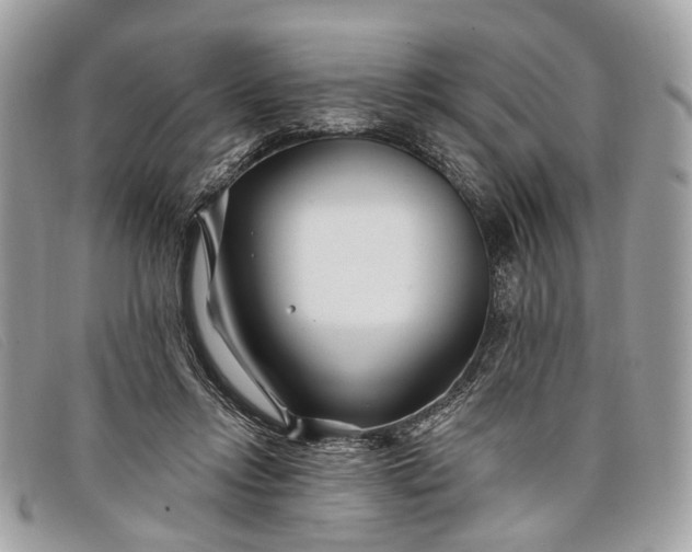 X0000098030358200804111328