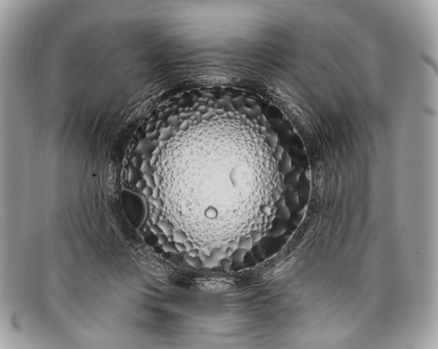 X0000098030359200804111328