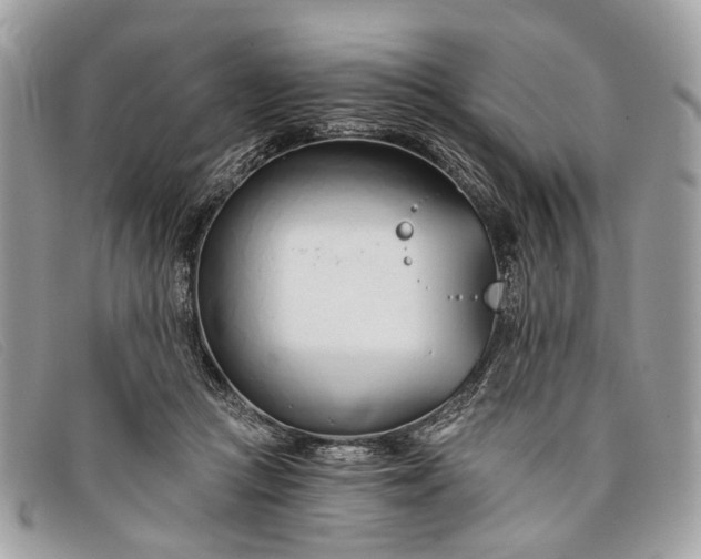 X0000098030361200804111328