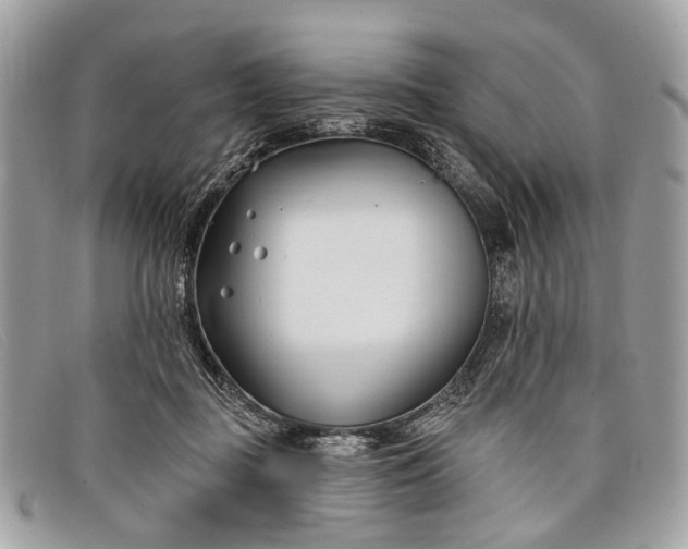 X0000098030363200804111328