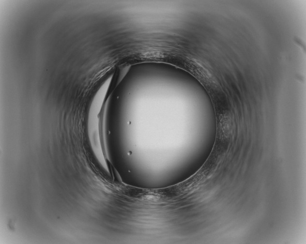 X0000098030364200804111328