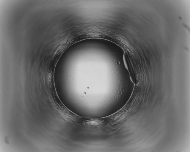 X0000098030365200804111328