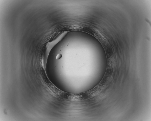 X0000098030368200804111328