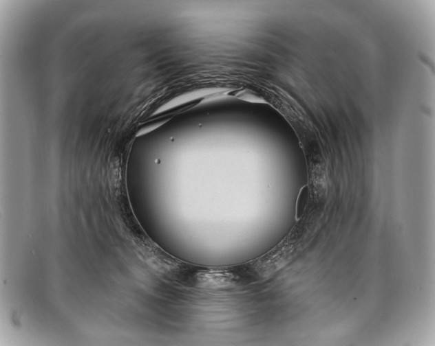 X0000098030372200804111328