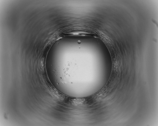 X0000098030373200804111328