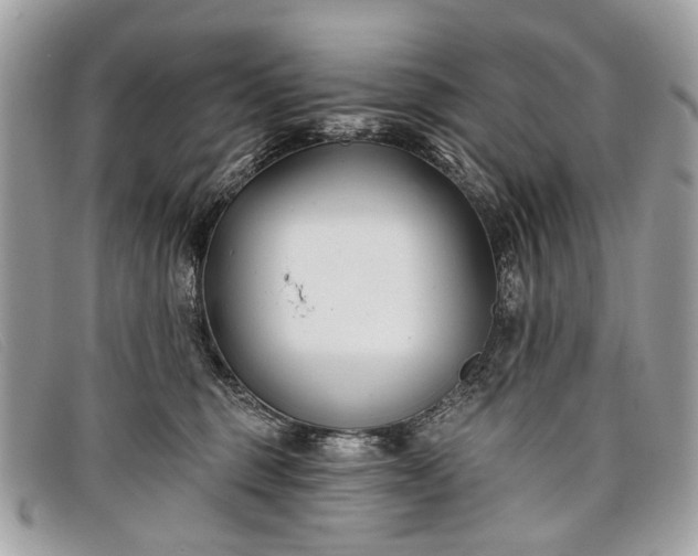 X0000098030375200804111328