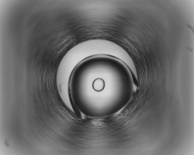 X0000098030376200804111328