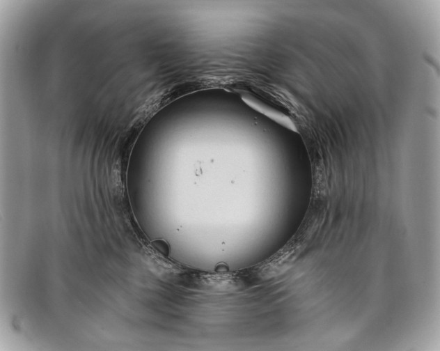 X0000098030377200804111328