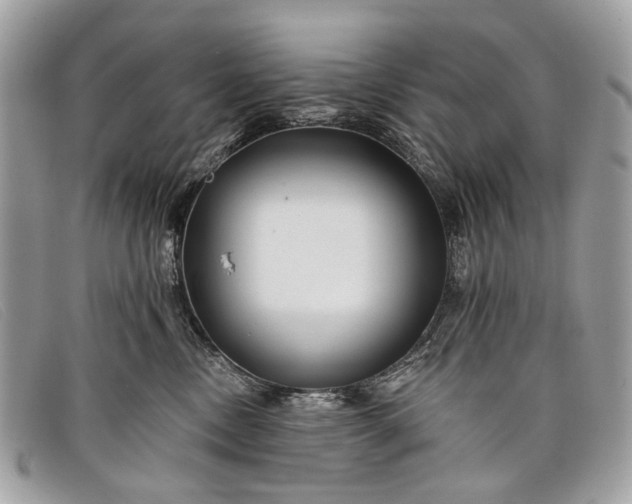 X0000098030378200804111328