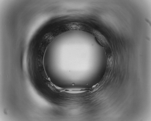 X0000098030381200804111328