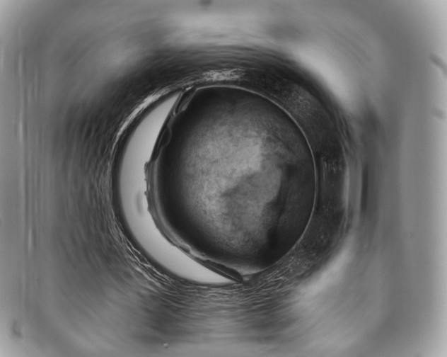 X0000098030387200804111327