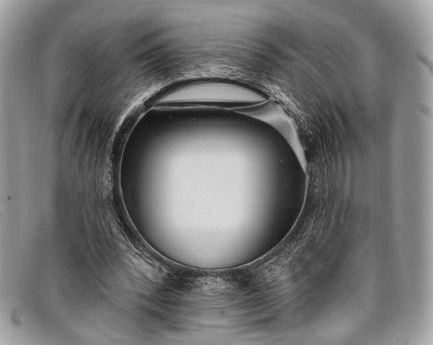 X0000098030392200804111327