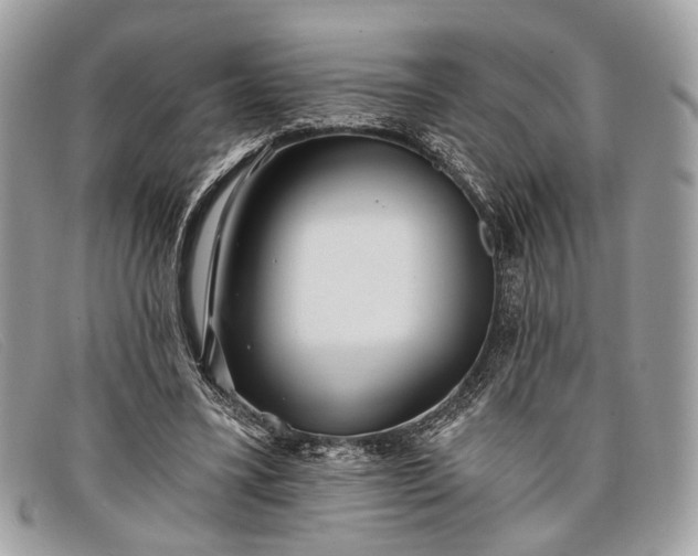 X0000098030395200804111327