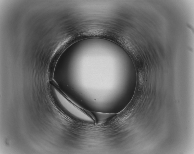 X0000098030396200804111327