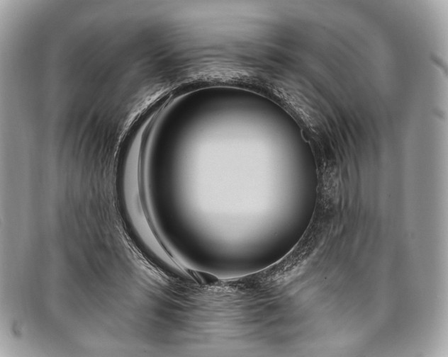 X0000098030399200804111327