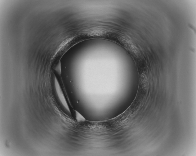 X0000098030400200804111327